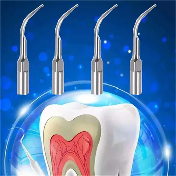 4 adet Diş Ölçekleyici İpuçları EMS DTE Ağaçkakan Ölçekleyici El Aleti Diş Ultrasonik Ölçekleyici Ölçekleme Ucu Diş Ekipmanları Diş Hekimi