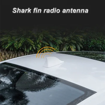 Evrensel Araba Saf Bakır Köpekbalığı Yüzgeci Radyo Anteni Antenler FM / AM Sinyal Modifikasyonu Ücretsiz Delme Dekorasyon Aksesuarları